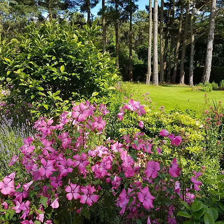 Holiday home Au Du Bois D'amour *