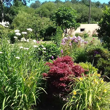 Holiday home Au Du Bois D'amour *